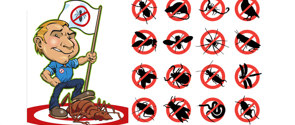 Böcek Haşere İlaçlama