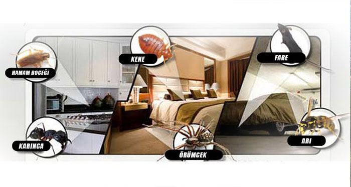 Böcek Haşere İlaçlama